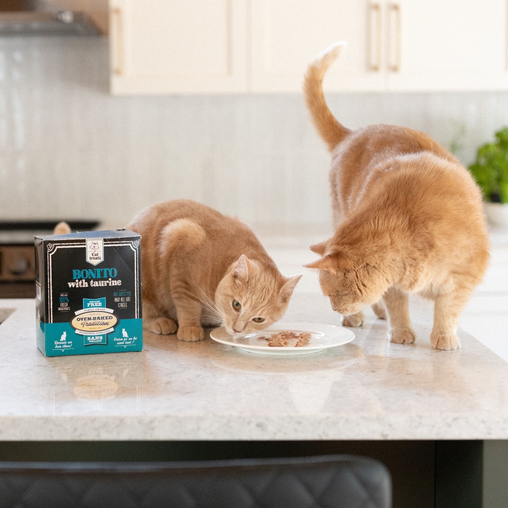 Deux chats dégustant un filet de bonite avec taurine hypoallergène Oven‑Baked Tradition sur un comptoir de cuisine.