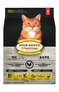 Cat Chicken 3D front Chat Poulet face