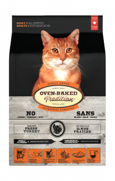 Cat Turkey 3D front Chat Dinde face