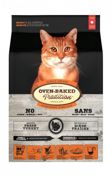 Cat Turkey 3D front Chat Dinde face
