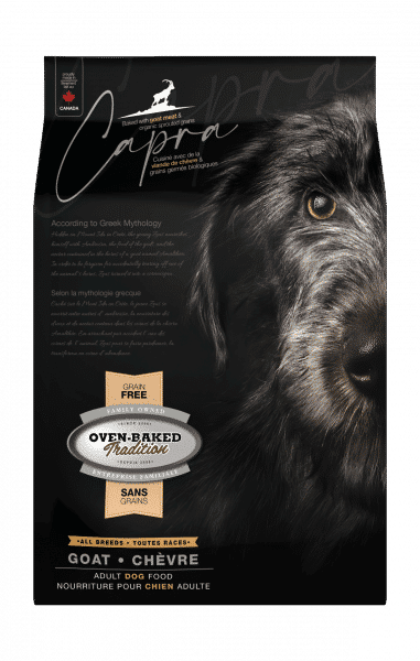 GF CAPRA Goat All Breed Front SG CAPRA Chevre Toutes Races Face