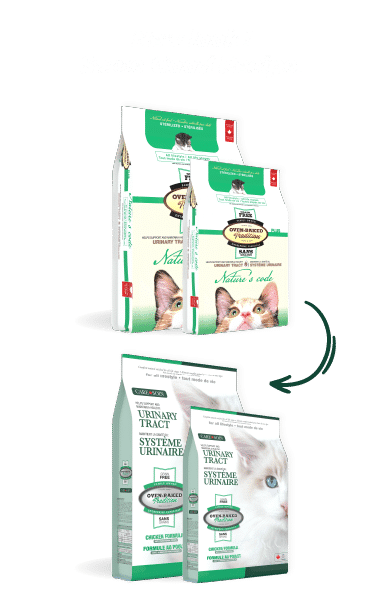 OBT Care Urinary NewLook Website Sacs EN 1