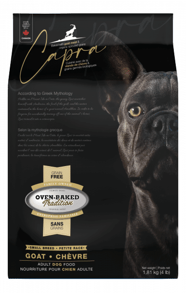 Capra Small Breed Petite Race Front Face 3D