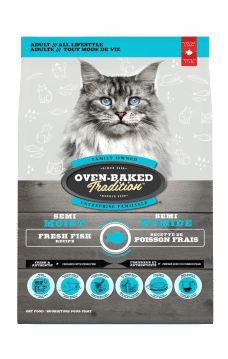 Chat Semi Humide Poisson 3D Face