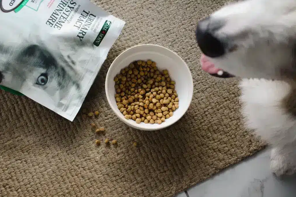 Chien assis près d’un bol de croquettes Oven-Baked Tradition et d’une formule Care conçue pour soutenir la santé urinaire et le bien-être général.