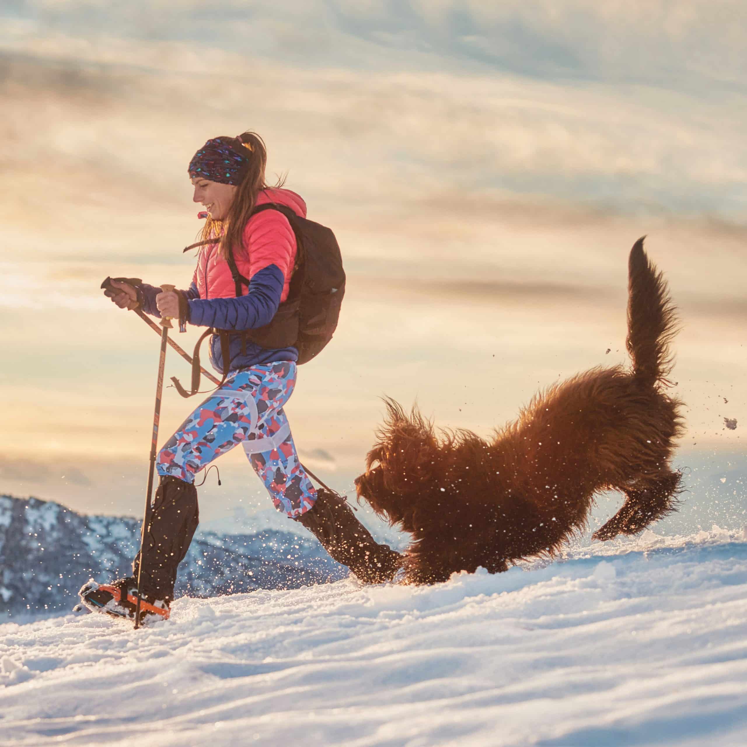 Personne en raquettes avec son chien dans la neige au sommet d’une montagne, activité hivernale pour garder son chien actif – Oven-Baked Tradition