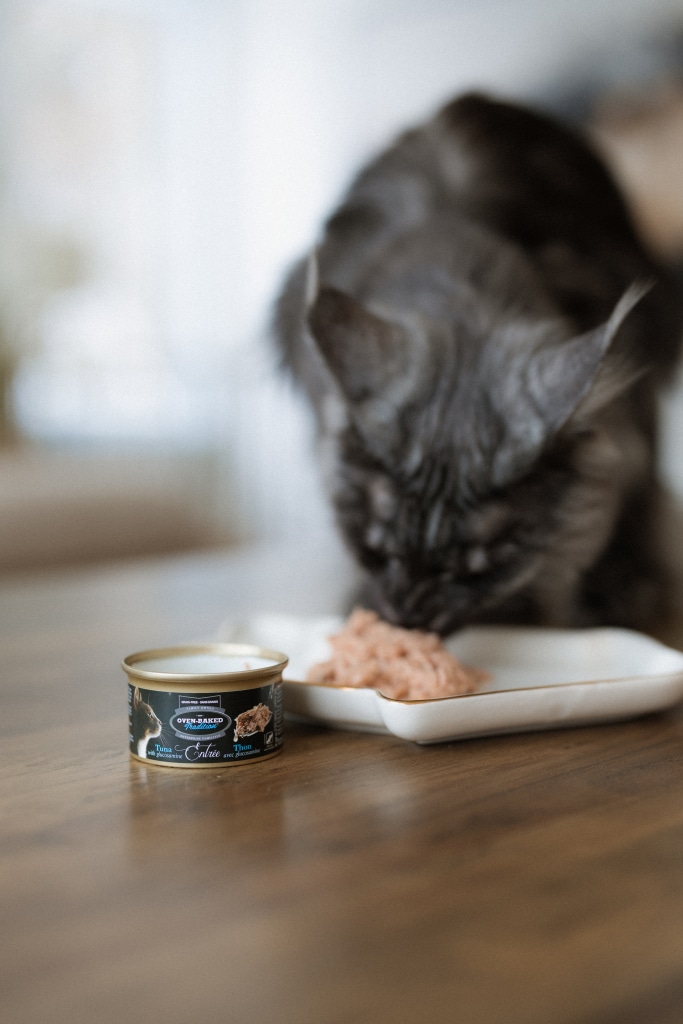 Chat mangeant une entrée sans grains au thon avec glucosamine Oven-Baked Tradition