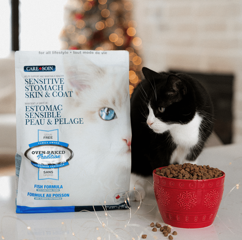Chat à côté d’un sac de nourriture Oven-Baked Tradition gamme Soin, formule au poisson pour estomac sensible.