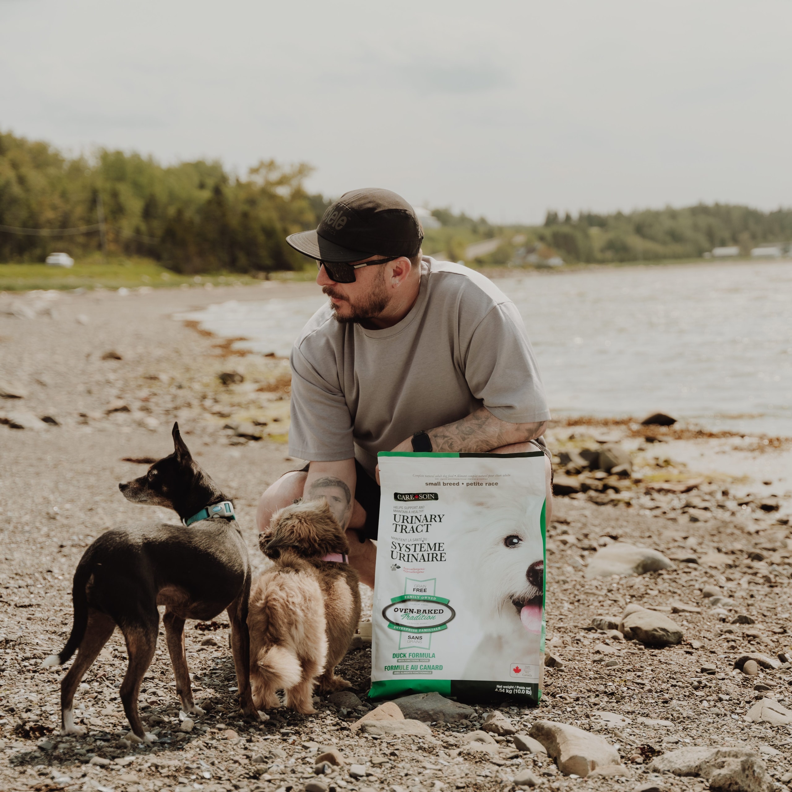Chien de petite race dégustant des croquettes Oven-Baked Tradition pour la santé urinaire sur la plage – formule sans grains au canard