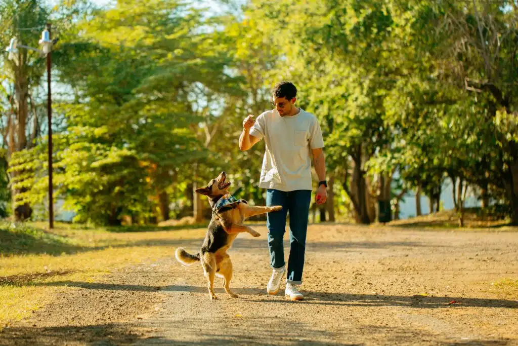 Off Leash Dog Parks in Canada