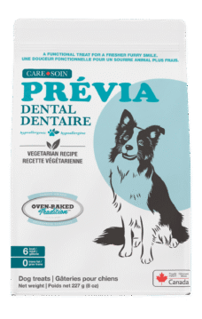 OBT WebSite Care Dog Previa Dental v2